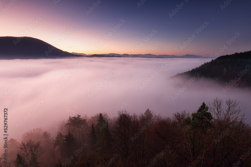 Sea fog in the pink light is very beautiful and fabulous, picturesque vague wave rolled on the slopes of the peaks Sea fog in the pink light is very beautiful and fabulous, picturesque vague wave rolled on the slopes of the peaks