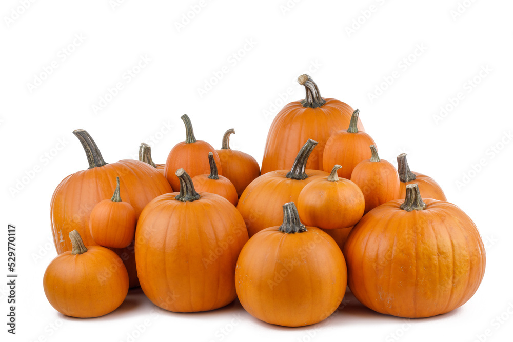 Many orange pumpkins on white Many orange pumpkins on white