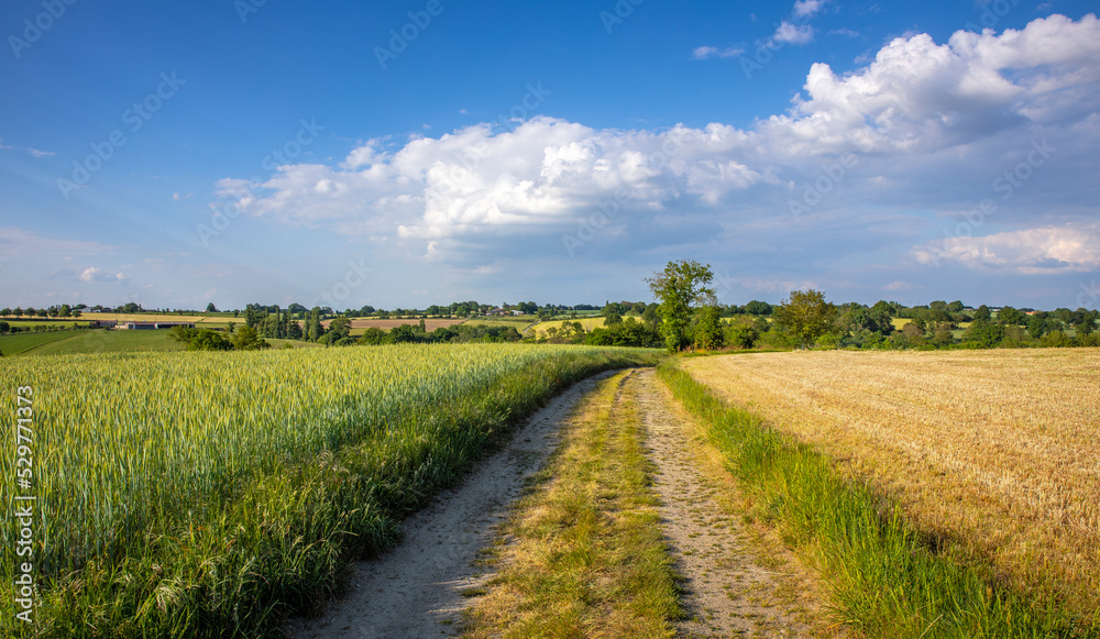 Paysage agricole, chemin de campagne de France au printemps. Paysage agricole, chemin de campagne de France au printemps.