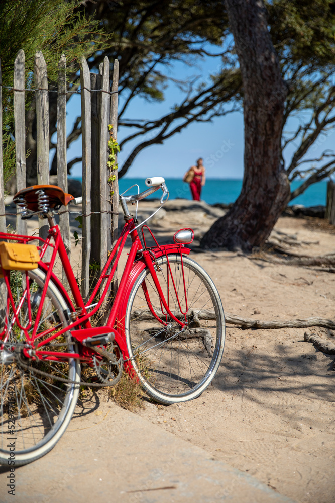 Fototapeta premium Vieux vélo rouge en bord de mer dans les dunes en Bretagne.