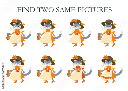 Look carefully at the fashionista cats and find two identical ones. Logical game for kids. Puzzle for preschoolers.