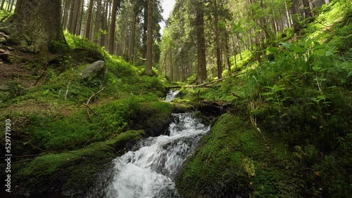 Mountain river rushing through a forest in summer, small creek water closeup, low glide