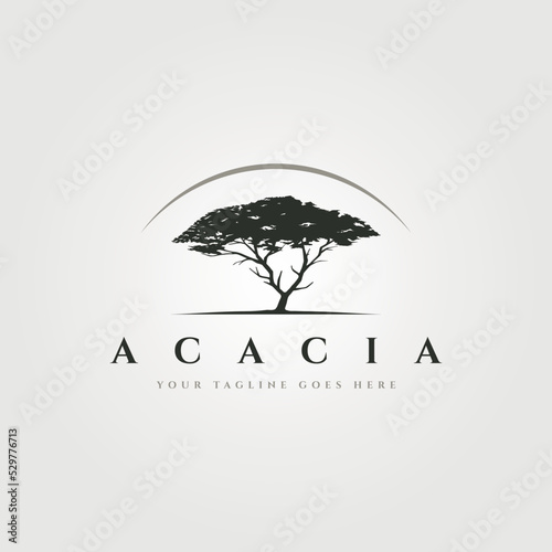 Fototapeta acacia tree logo vintage vector symbol illustration design, old tree logo design