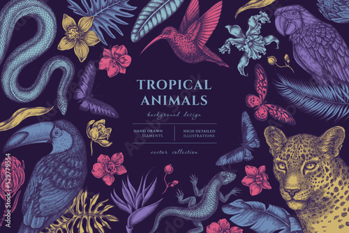 Tropical animals hand drawn illustration design. Background with vintage leopard, snake, lizard, hummingbird, toucan, scarlet macaw, rajah brooke's birdwing, african giant swallowtail, monstera