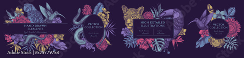 Tropical animals hand drawn frame templates. Vintage illustrations of leopard, snake, lizard, hummingbird, toucan, scarlet macaw, monstera, banana palm leaves, strelitzia, tropical palm leaves, orchid