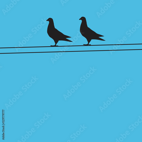 pigeons on a wire