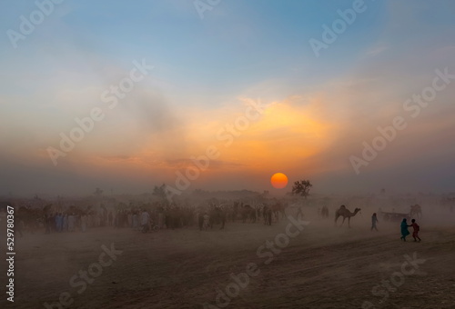 sunset in the desert with orange light , camels and people 