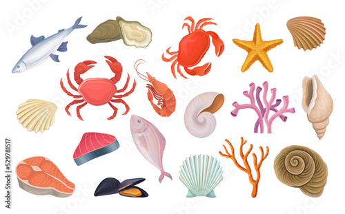 Seafood with Crab, Salmon, Tuna, Oyster, Algae and Seashell Big Vector Set
