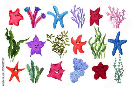 Starfish with Cute Smiling Face and Algae Seaweeds Big Vector Set