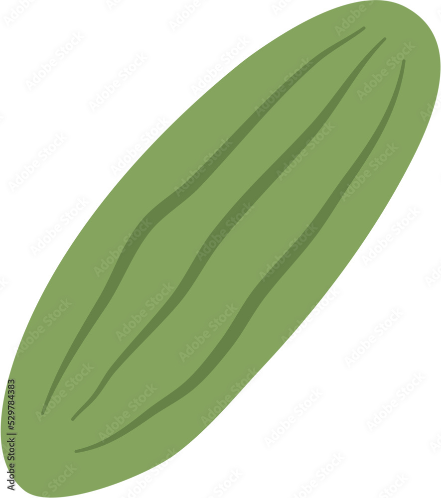 Flat Cucumber Illustration