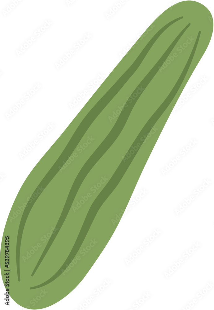 Flat Cucumber Illustration Flat Cucumber Illustration
