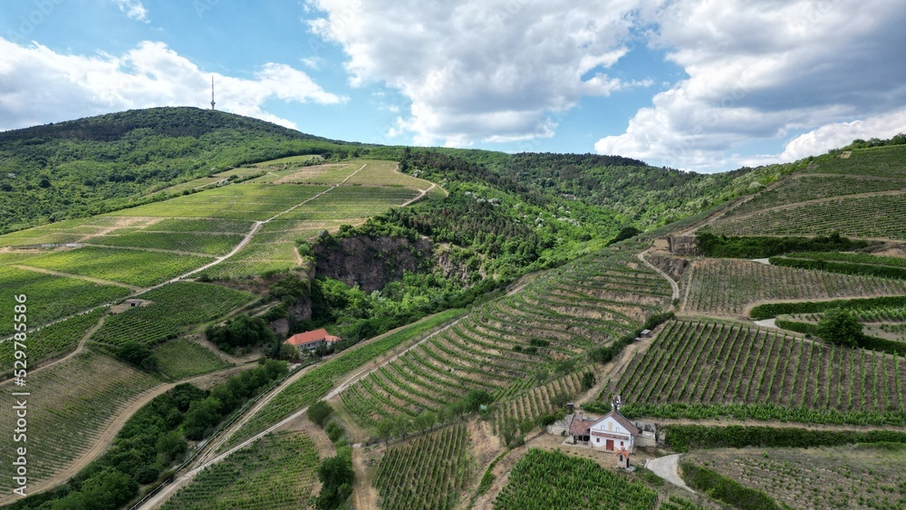 wine hill