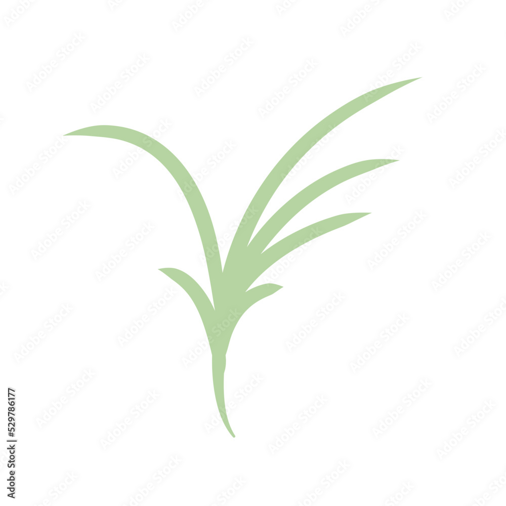 Obraz premium green plants set with clover dandelion chives plantain