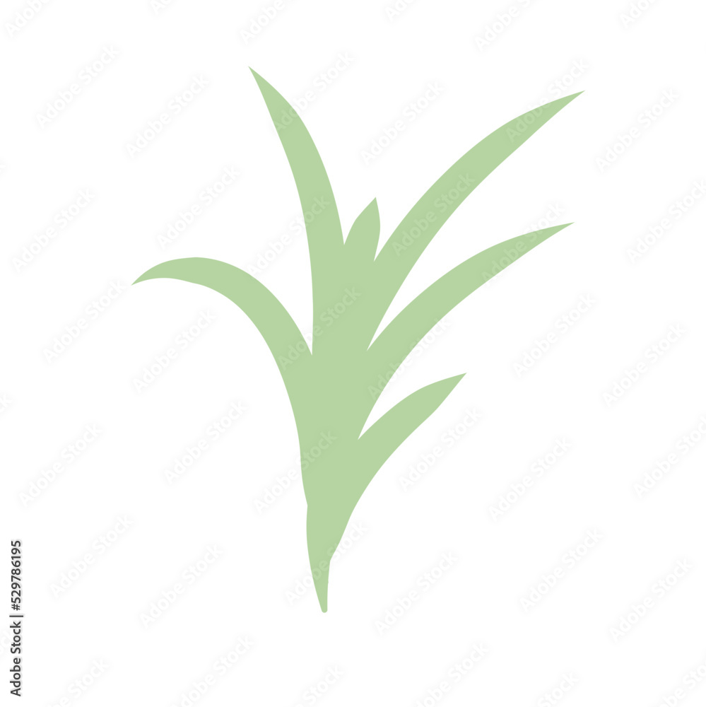 Fototapeta premium green plants set with clover dandelion chives plantain