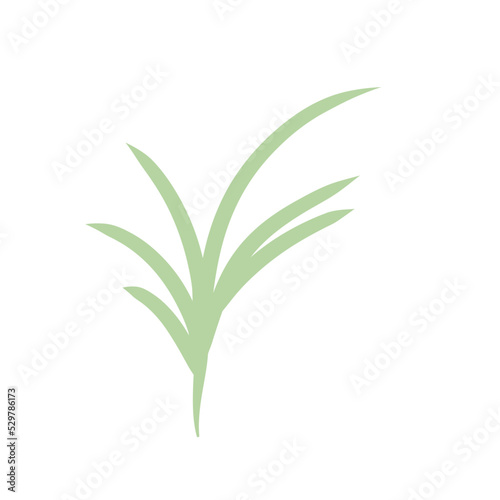 green plants set with clover dandelion chives plantain