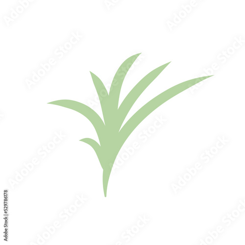 green plants set with clover dandelion chives plantain