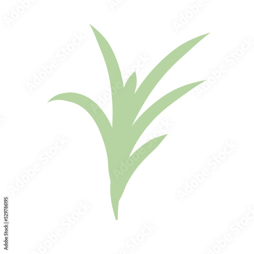 green plants set with clover dandelion chives plantain