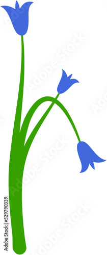 Bluebell Flower Illustration