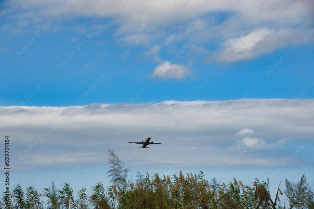 Natural park of the Llobregat delta. In the background an airplane taking off at Barcelona airport. Natural park of the Llobregat delta. In the background an airplane taking off at Barcelona airport.