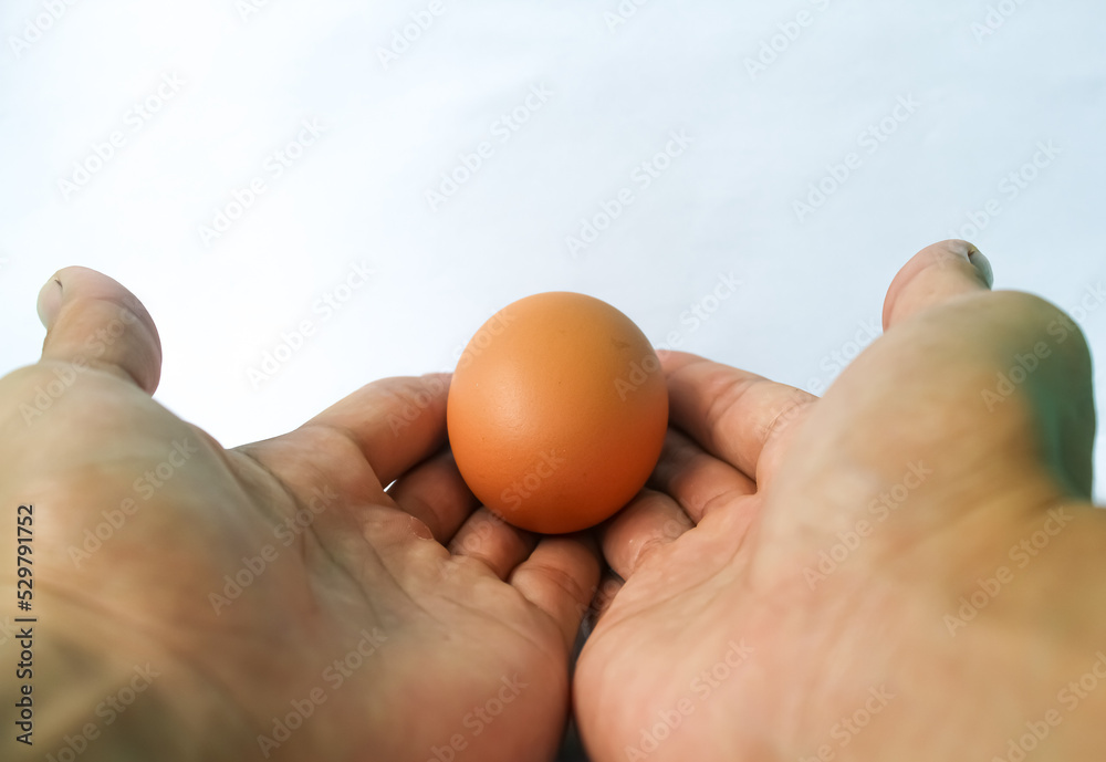 One chicken egg is placed on the palm of the hand. Isolated on white background One chicken egg is placed on the palm of the hand. Isolated on white background