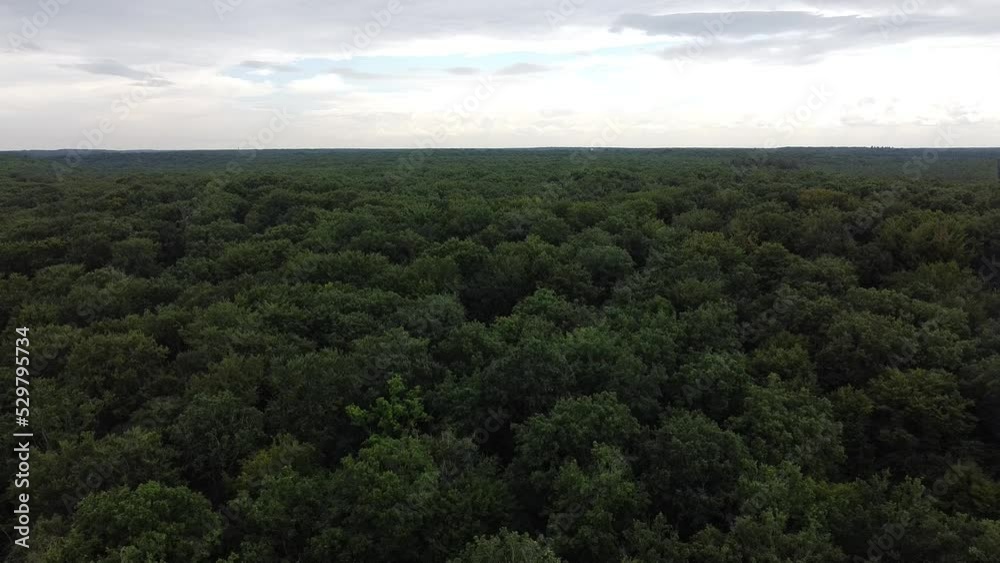 vol aérien en drone au milieu d'une foret boisée et verte au milieu de l'été. vol aérien en drone au milieu d'une foret boisée et verte au milieu de l'été.