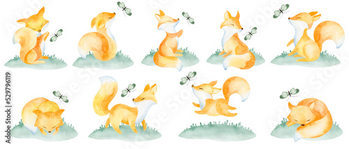 A set of PNG images of cute foxes. Watercolor illustration cartoon character fox cub, butterfly. Hand painted on a white background. For design, prints, poster, postcard or background.
