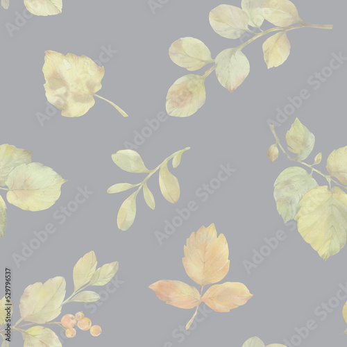 tender autumn leaves isolated on a light gray background, collected in a seamless pattern © Sergei