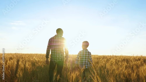 Father and son walk through a wheat field holding hands in the rays of the sun at sunset. Agriculture, poking, timeworks. Grain harvest.
