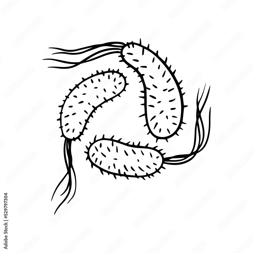 Fototapeta premium virus hand drawn illustration design