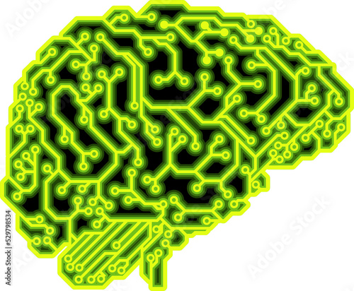 Brain Circuit Concept