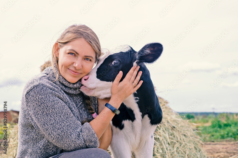 Obraz premium pretty black-white new born calf posing with farmer. close up