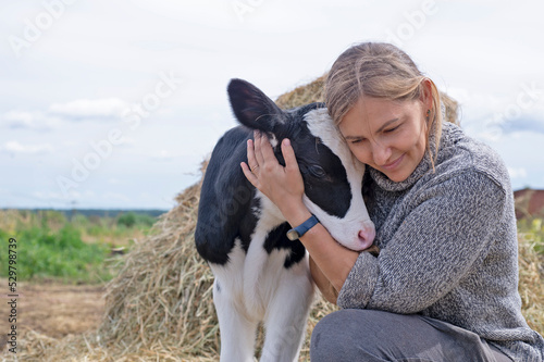 Obraz na płótnie pretty black-white new born calf posing with farmer. close up w salonie