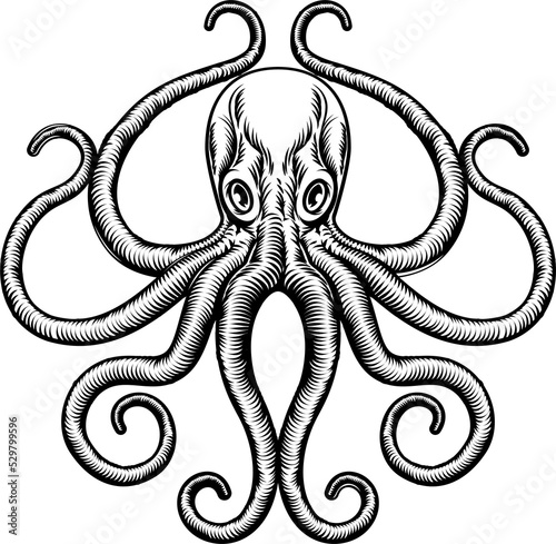 Photography Octopus or Squid Illustration