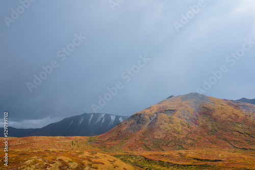 Motley autumn landscape with sunlit hill and mountain range silhouette during rain. Vivid autumn colors in mountains. Sunrays in dramatic sky above multicolor hill in sunlight. Sunbeams in gray sky.