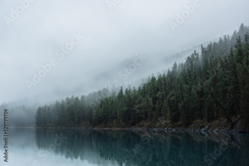 Tranquil atmospheric scenery with turquoise mountain lake and coniferous trees silhouettes in dense fog. Pure alpine lake in mystery thick fog. Calm glacial lake and forest edge in misty early morning © Daniil
