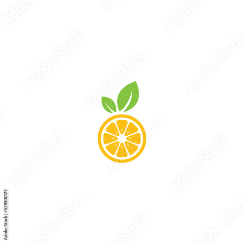 Vector orange logo in a modern flat style. Vector Design.