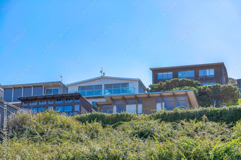 Tall crawling shrubs outside the neighborhood with large houses in San Francisco, California