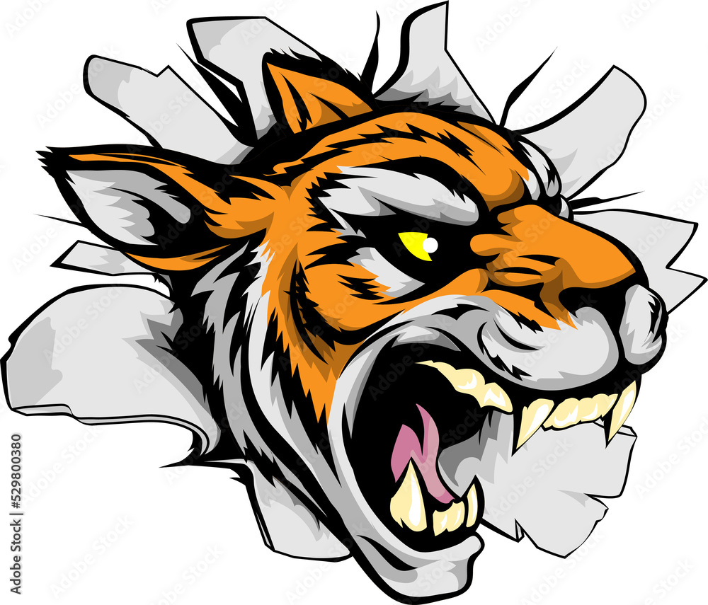 Tiger sports mascot breaking out