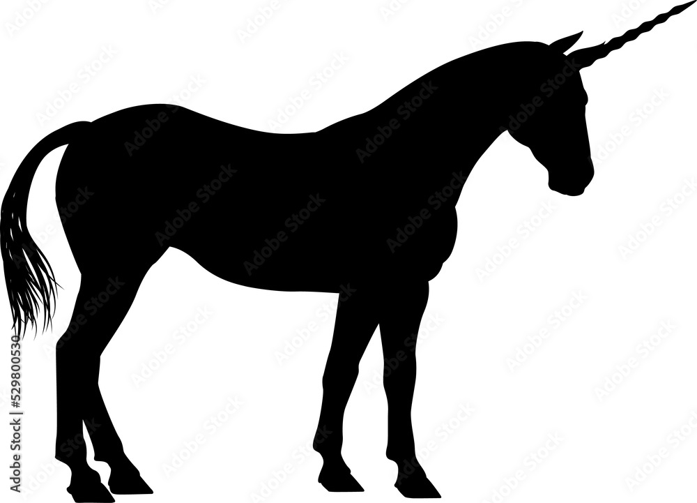 Obraz premium Unicorn Horse Silhouette