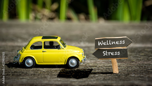 Fototapeta Naklejka Na Ścianę i Meble -  Street Sign to Wellness versus Stress