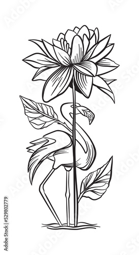 vector illustration of a flamingo bird standing behind a flower