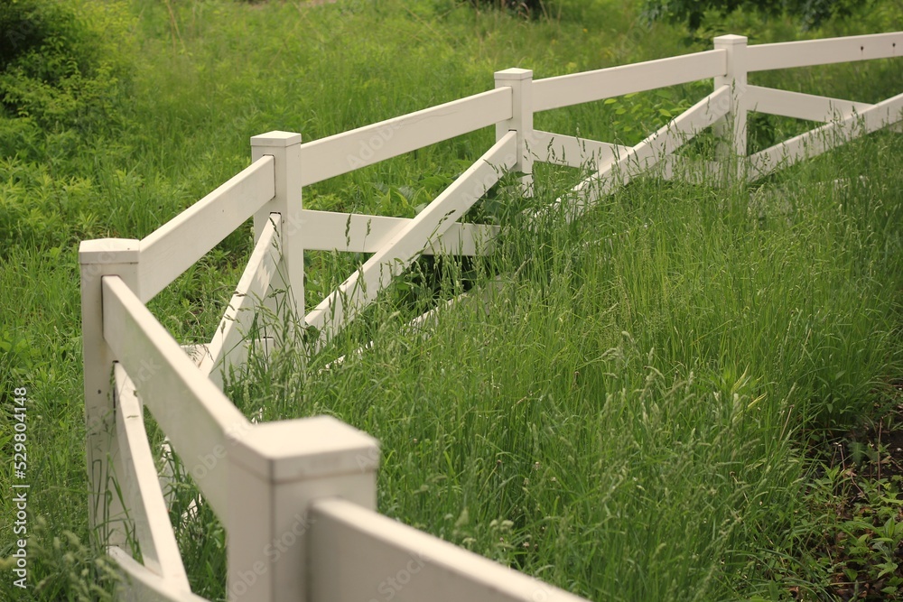 wooden fence on the grass