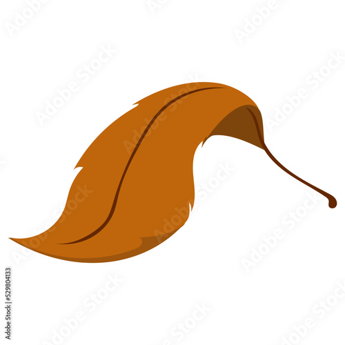 Herbst Blatt