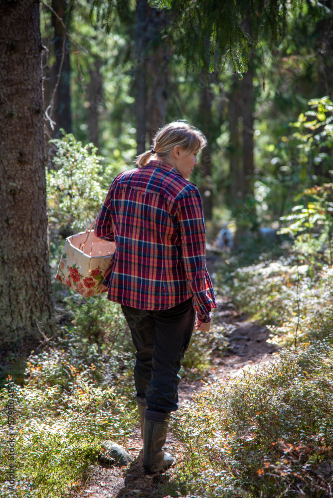 Woman walks in forest and picking berries and mushrooms Woman walks in forest and picking berries and mushrooms