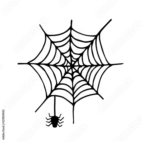Spider and cobweb doodle vector illustration isolated on white