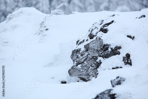 雪景色