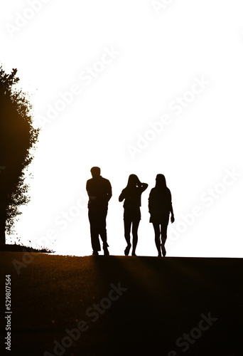 Silhouettes of people walking on a transparent background.