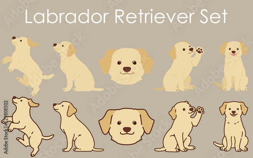 Simple and adorable cream colored Labrador Retriever illustrations set