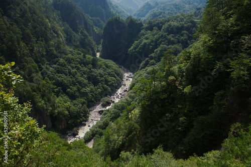 日本の渓谷イメージ