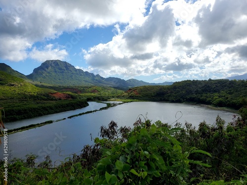 Menehune Fish Pond Water Cloud Sky Plant Water resources photo